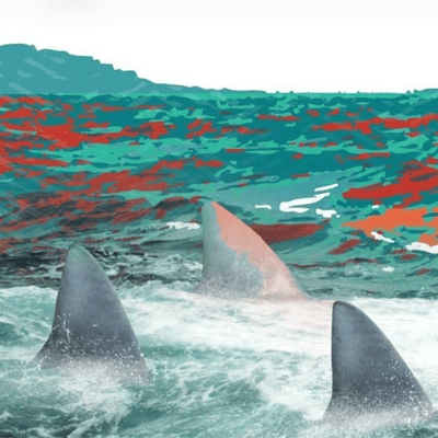 Screenshot 2025-11-26 at 22.23.56 Screenshot 2025-11-26 at 22.23.56